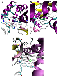 Ijms 13 00901f4 200