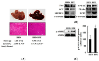 Ijms 13 00994f4 200