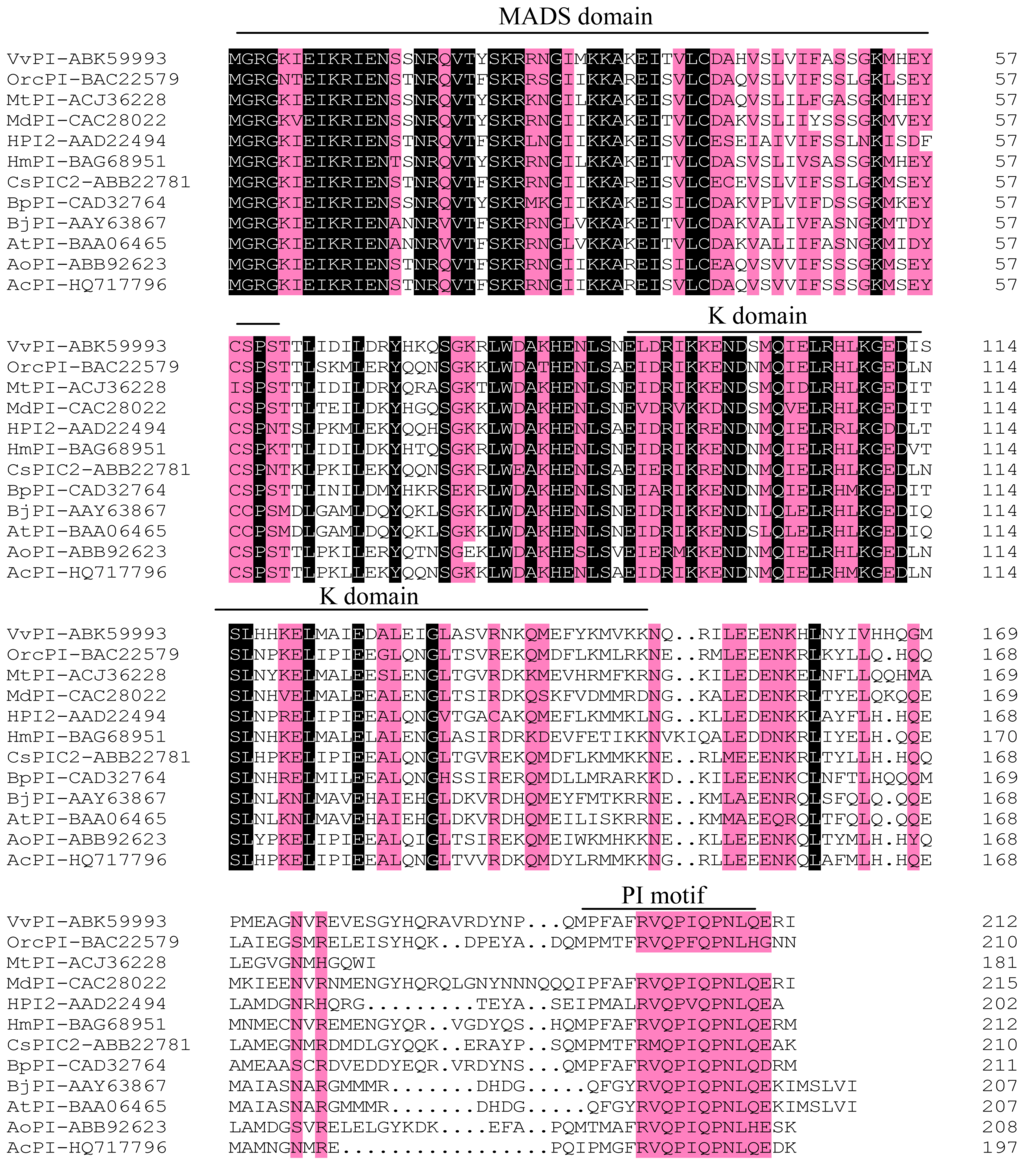Ijms 13 01039f1 1024