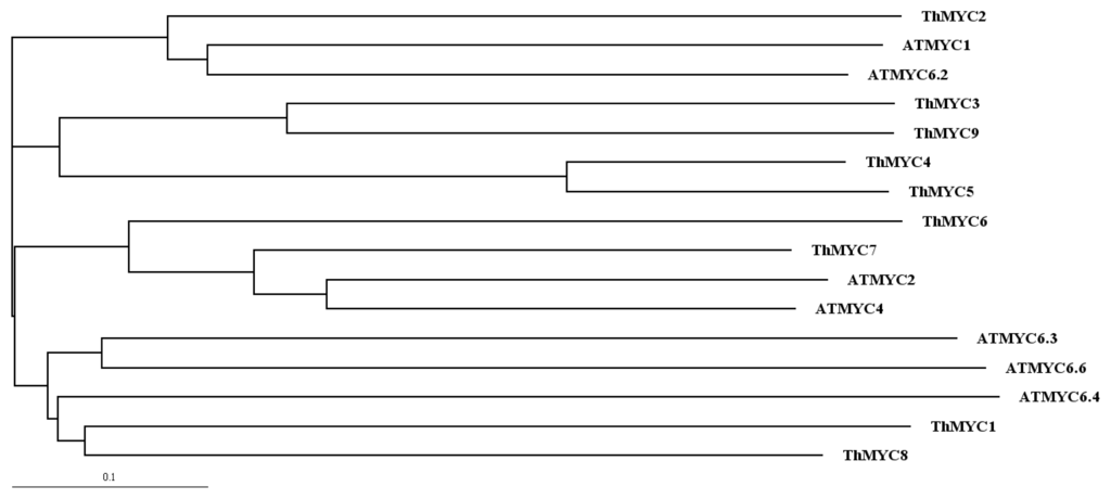 Ijms 13 01300f1 1024