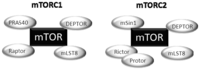 Ijms 13 01886f2 200