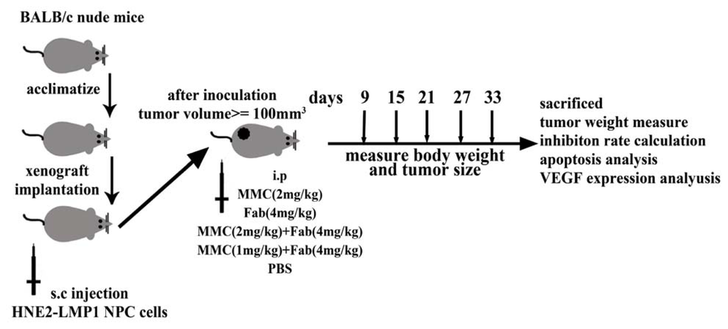 Ijms 13 02208f4 1024