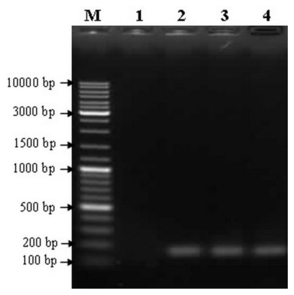 Ijms 13 02676f2 1024
