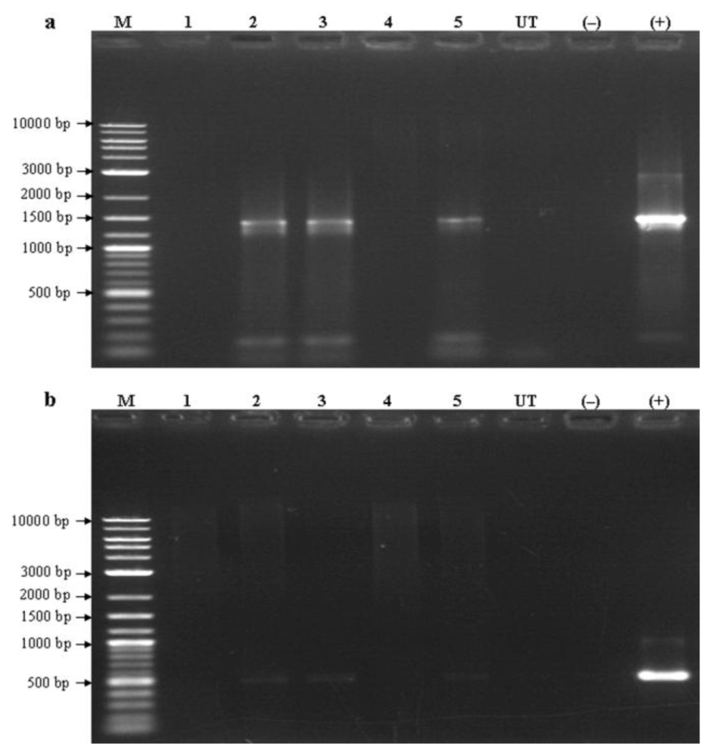 Ijms 13 02676f3 1024