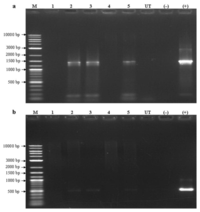 Ijms 13 02676f3 200