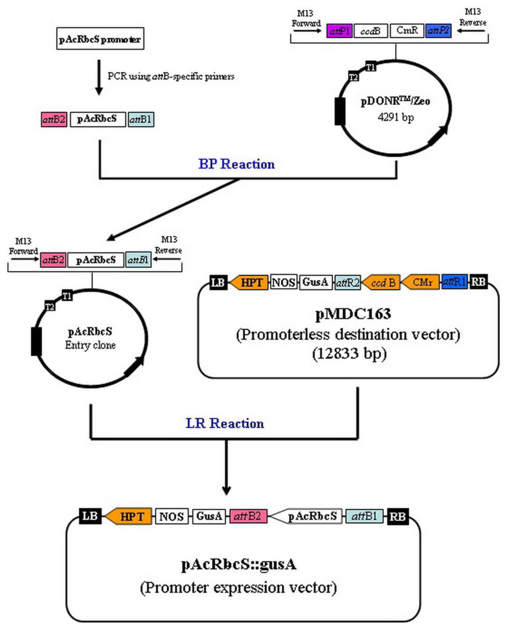 Ijms 13 02676f6 1024