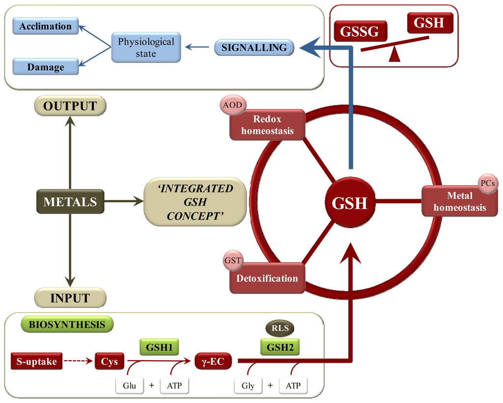 advanced signal integrity for