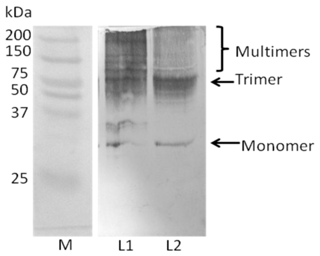 Ijms 13 03549f6 1024