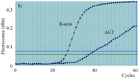 Ijms 13 05098f2b 200