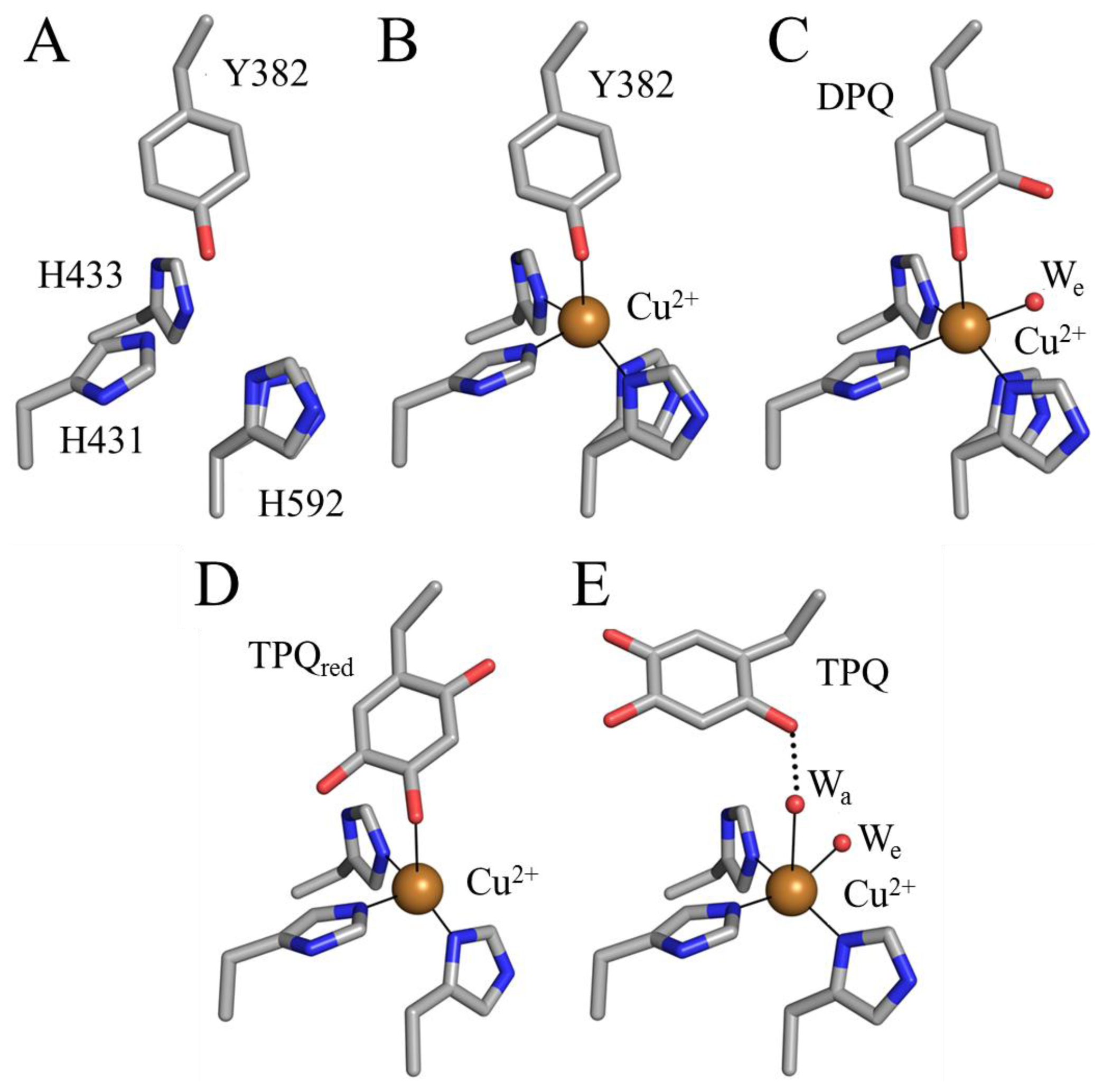 Control Of Biological And Drug-Delivery