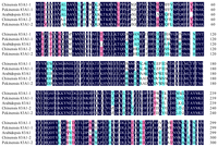 Ijms 13 05832f1a 200