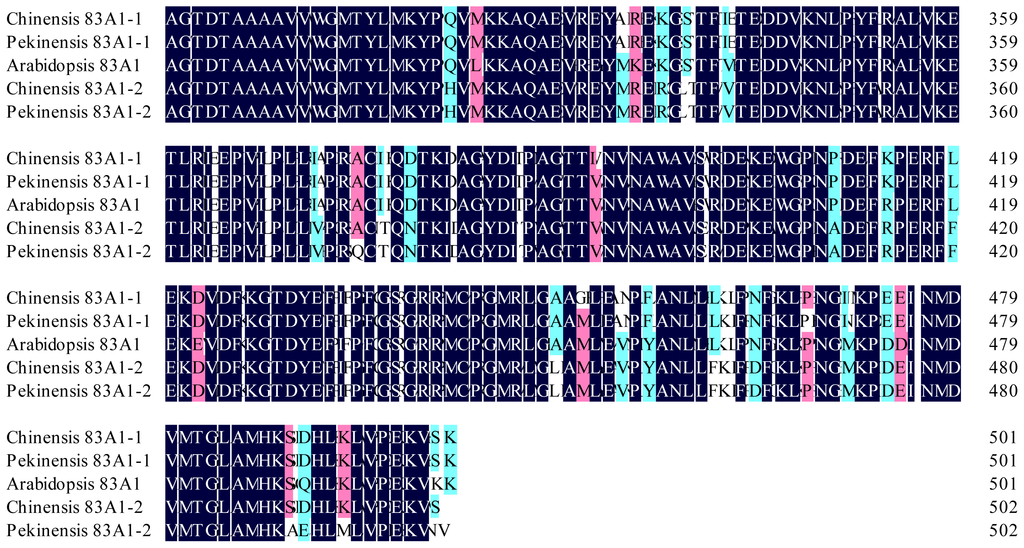 Ijms 13 05832f1b 1024