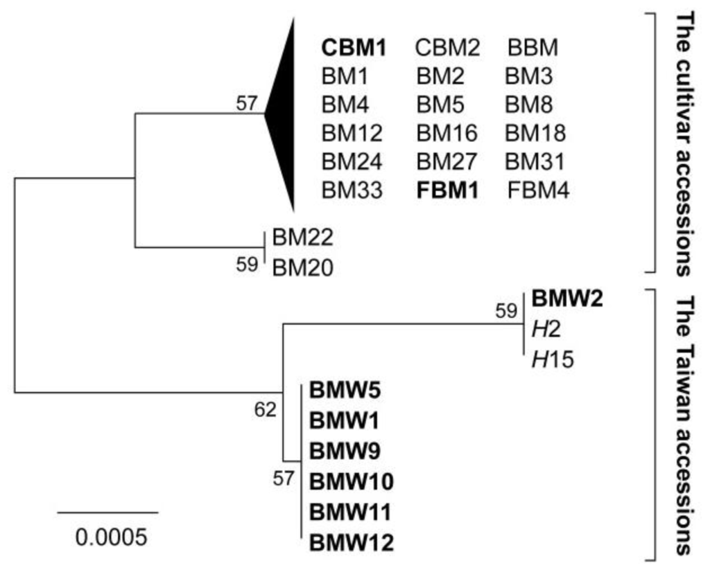 Ijms 13 06469f1 1024