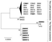 Ijms 13 06469f1 200