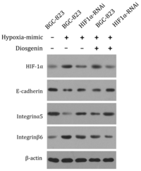 Ijms 13 06521f4 200