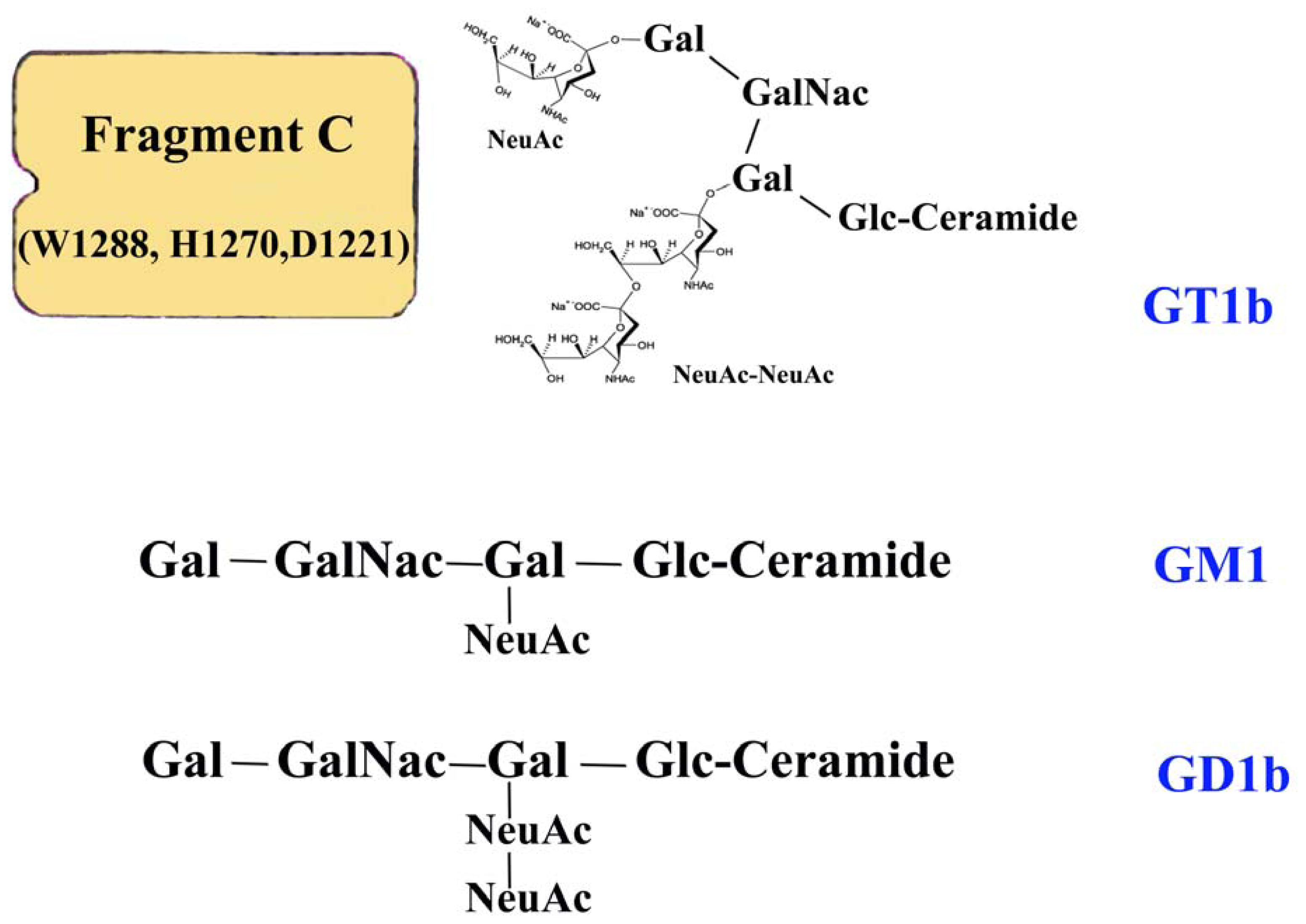 tetanus toxin