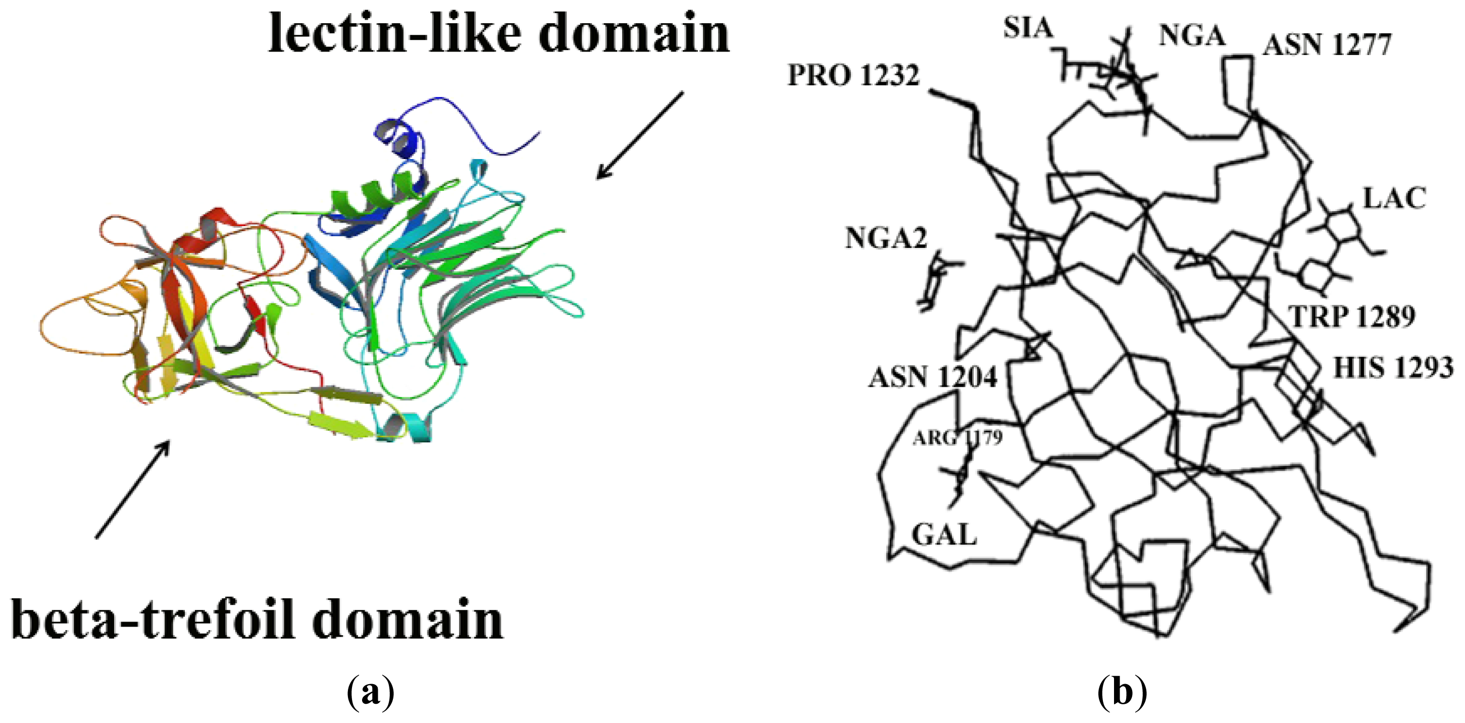 tetanus toxin