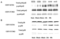 Ijms 13 07902f2 200