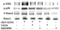 Ijms 13 07902f4 200