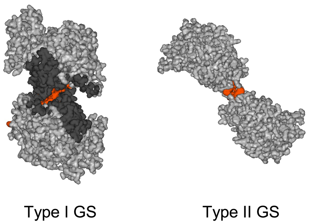 Enzymes principles and biotechnological applications Essays in Enzyme and Substrate Shapes