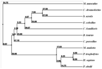 Ijms 13 08578f4 200
