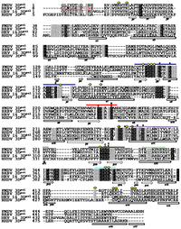 Ijms 13 08998f2 200