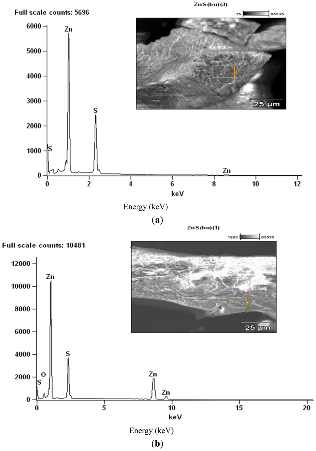 Ijms 13 09502f4 1024