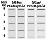 Ijms 13 11141f2 200