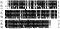 Ijms 13 11385f2 200