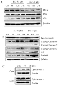 Ijms 13 11912f3 200
