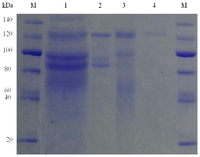 Ijms 13 12140f4 200