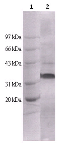 Ijms 13 12232f1 200