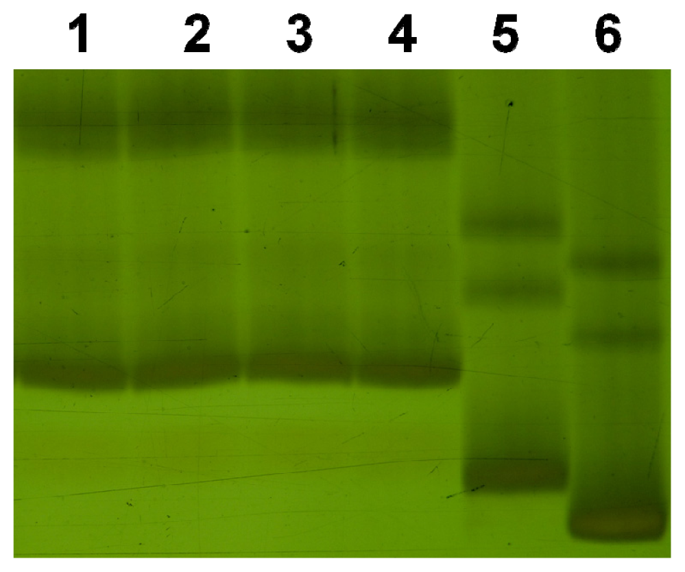 Ijms 13 12533f2 1024