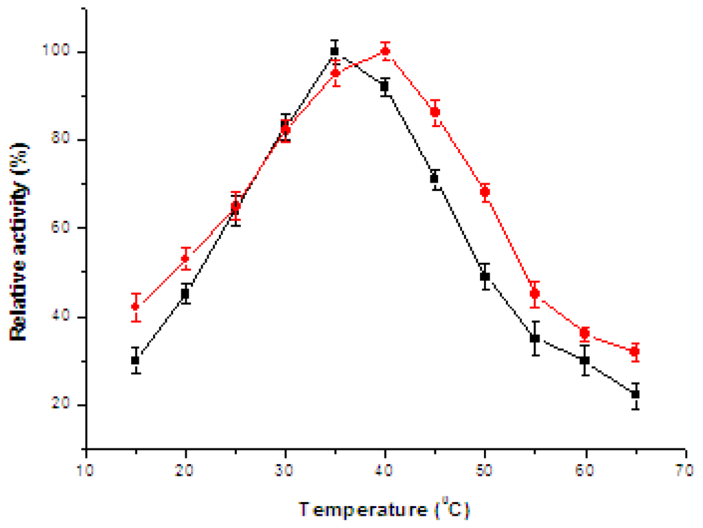 Investigating enzymes coursework