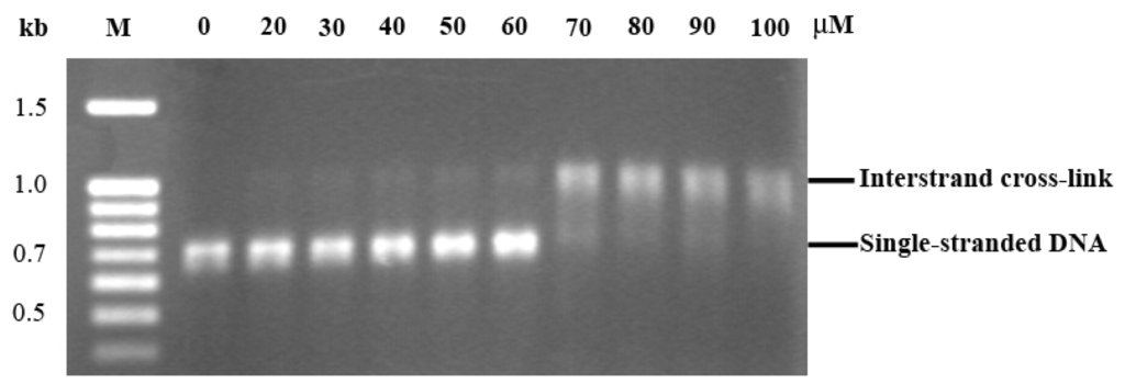 Ijms 13 13183f3 1024