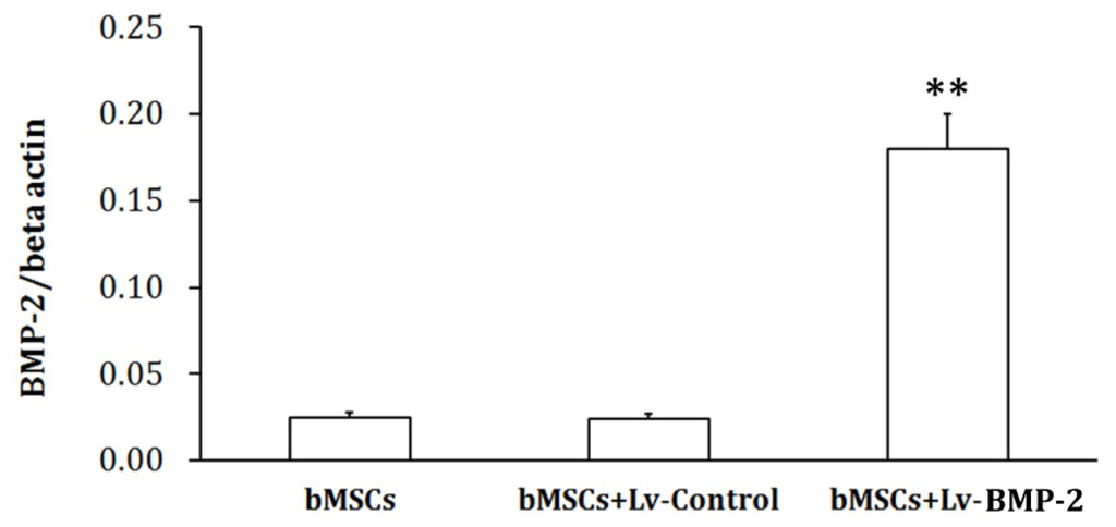 Ijms 13 13605f3 1024
