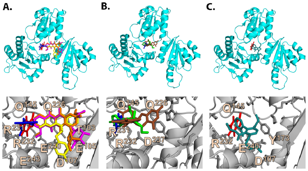 download Robust Control via Variable Structure and Lyapunov