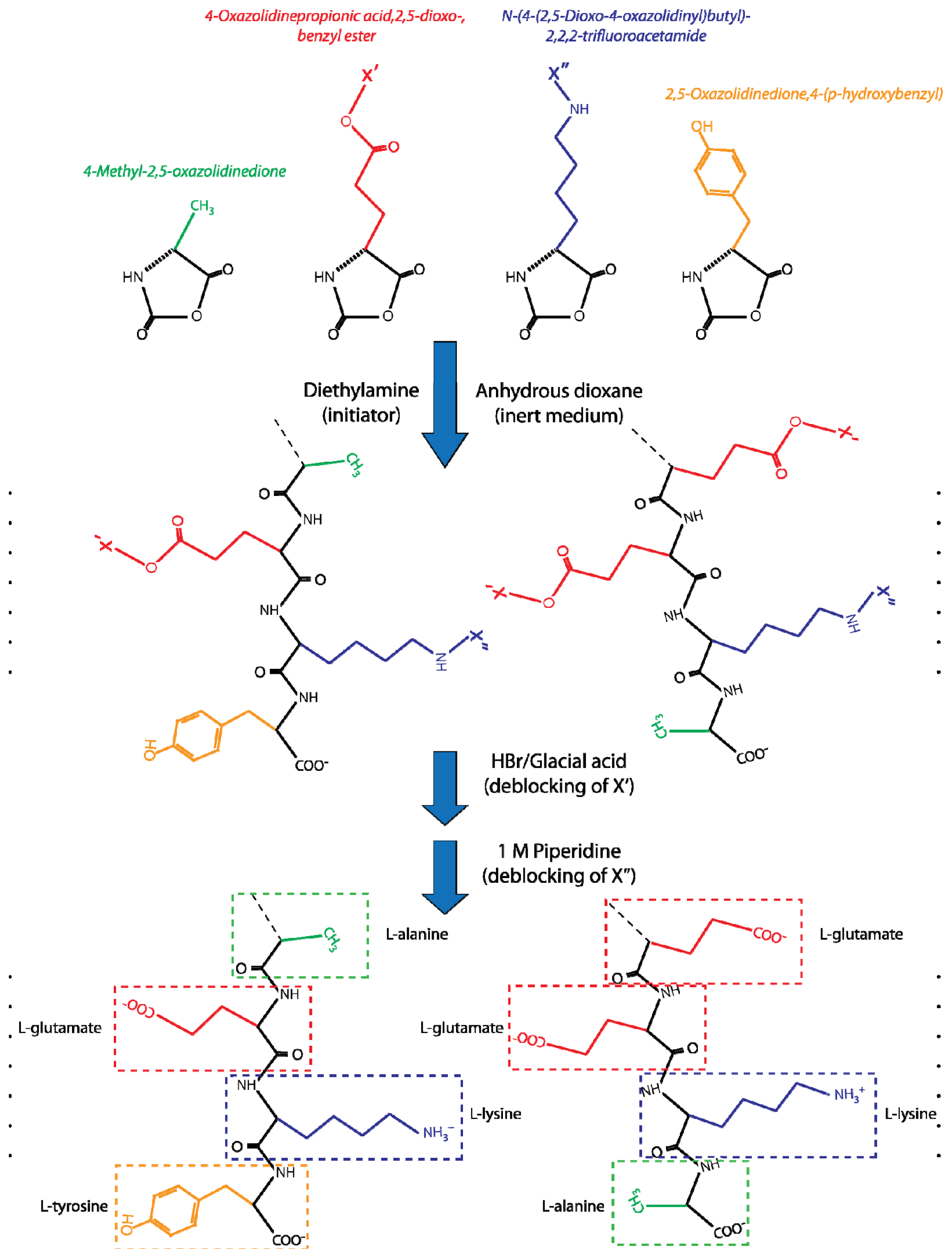 IJMS | Free Full-Text | Glatiramer Acetate in Treatment of IJMS | Free Full-Text | Glatiramer Acetate in Treatment of