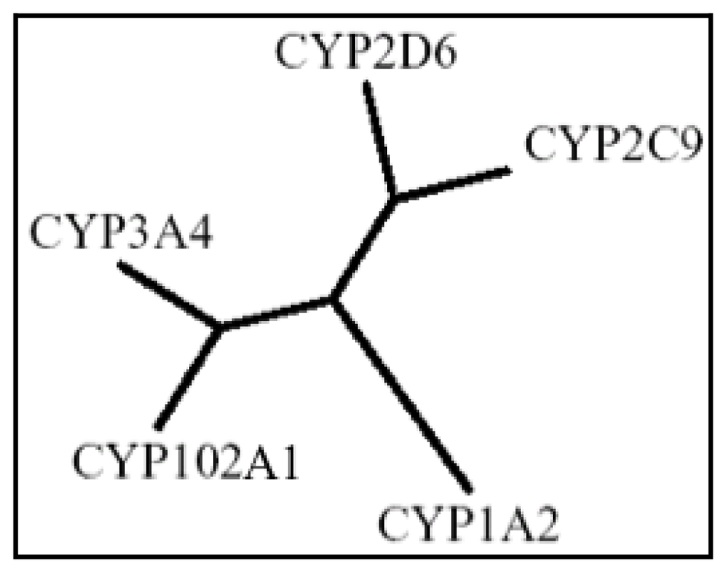 Ijms 13 15901f1 1024