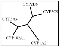 Ijms 13 15901f1 200
