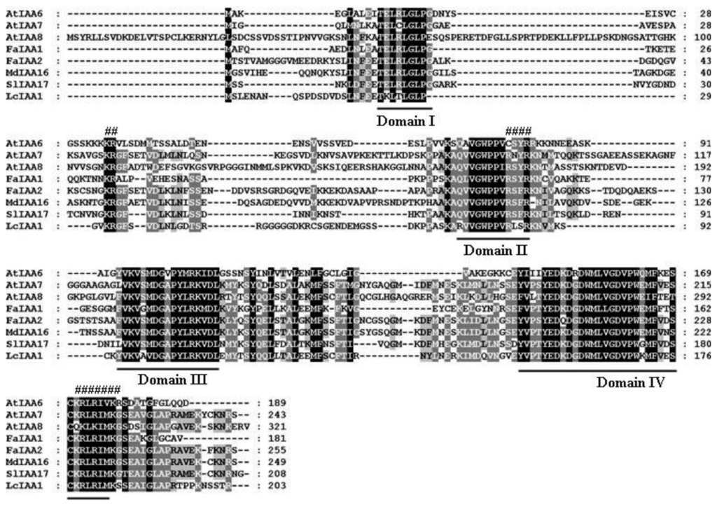 Ijms 13 16084f1 1024