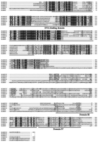 Ijms 13 16084f4 200