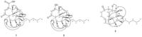 Ijms 13 16430f3a 200