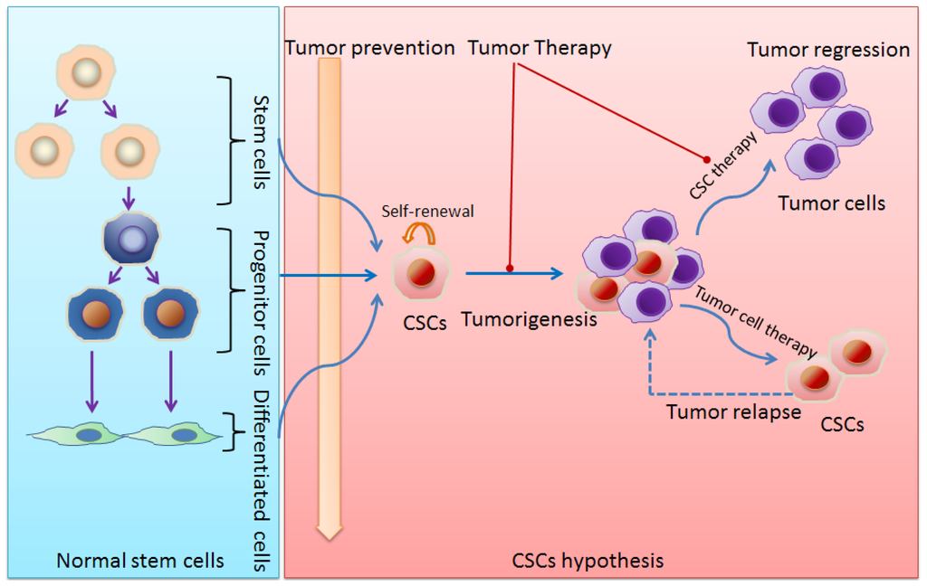 Stem Cell Therapy Pdfs