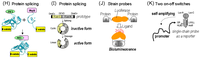 Ijms 13 16986f4b 200