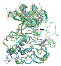 Ijms 13 17185f4 200