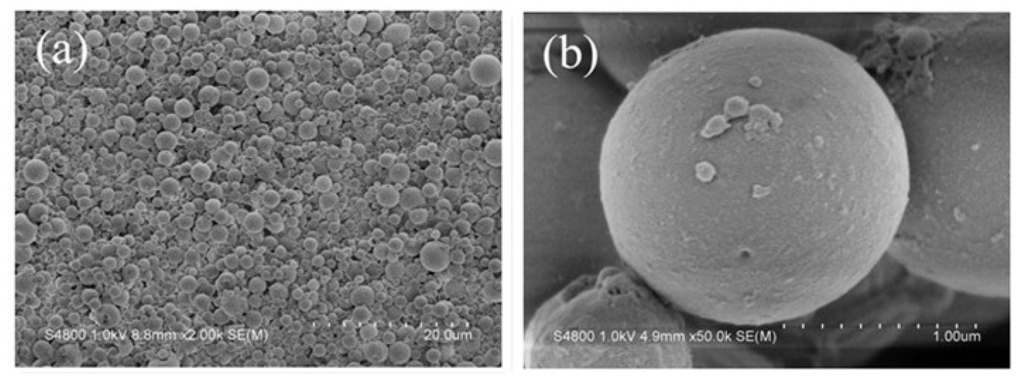 Ijms 14 00017f1a 1024