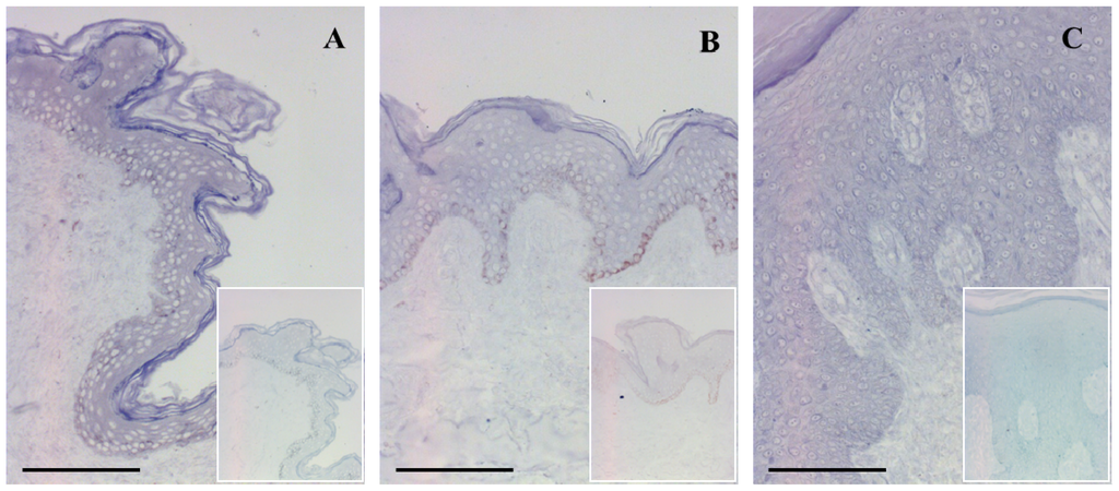 Ijms 14 00205f2 1024