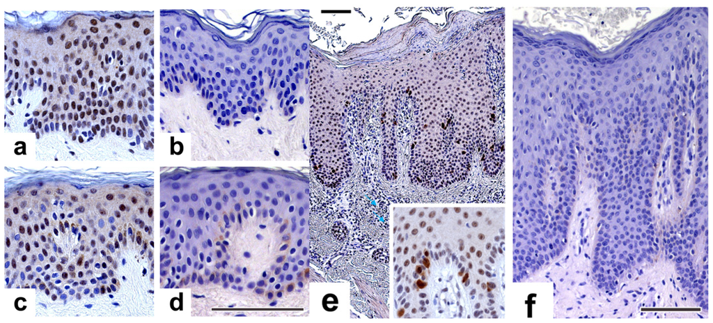 Ijms 14 00205f4 1024