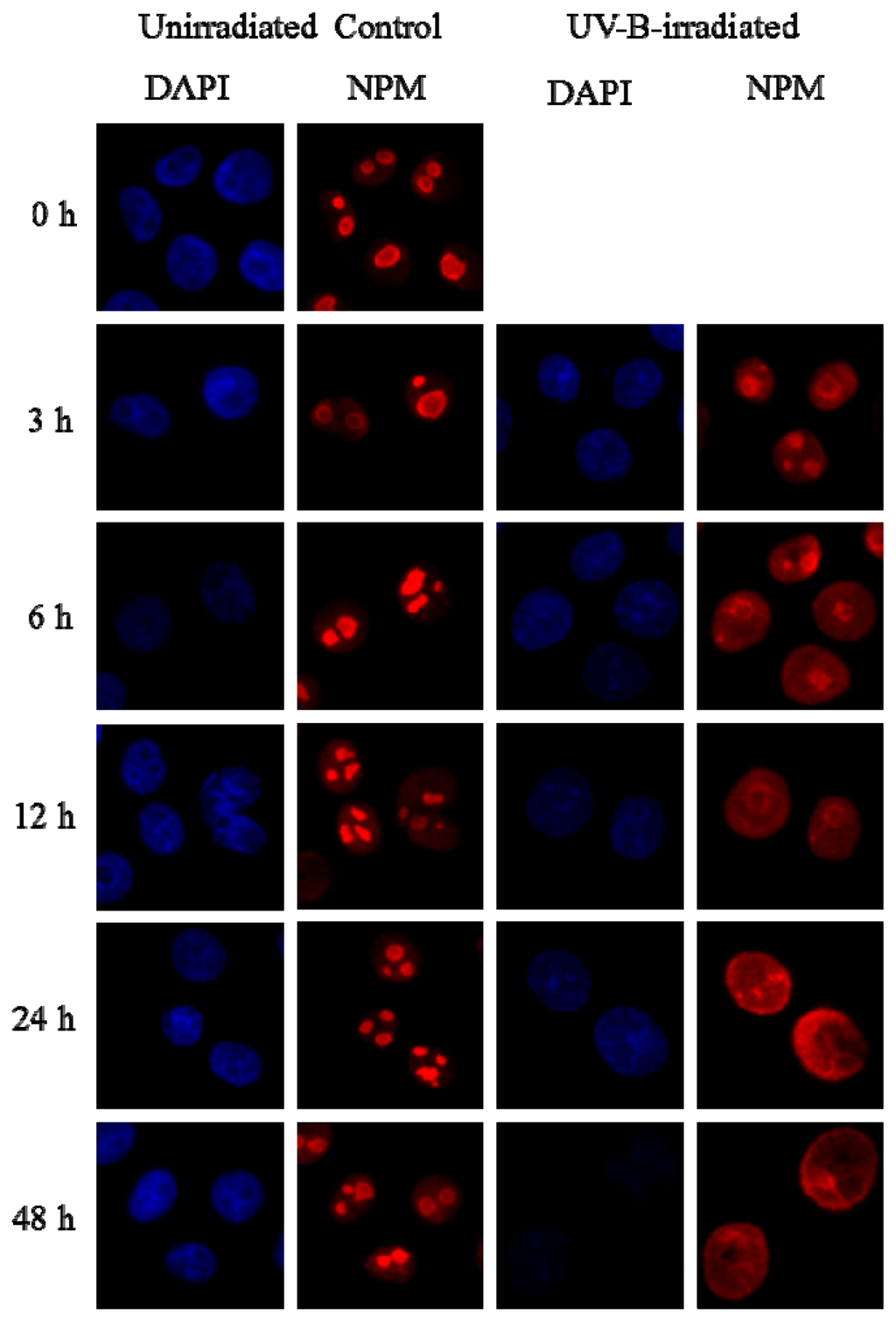 Ijms 14 00205f6 1024